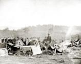 Field Hospital