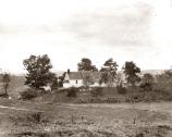 Roulette Farm