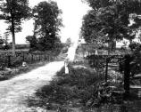 Mansfield Avenue