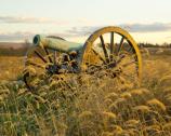 Cannon in the high grass