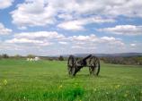 Cannon Landscape