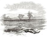 Bodies gathered for burial