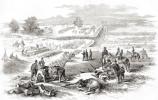 Burial Crews