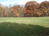 Playfield