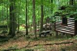 Cabins 34, 37  lodge 32