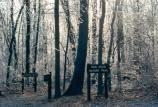 Ice on Hog Rock Trail Sign