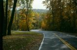 Fall Color in Catoctin