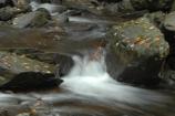 Scenic Stream