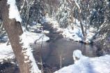 Big Hunting Creek in Winter