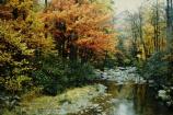 Big Hunting Creek in the Fall