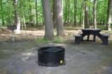 picnic table at Chestnut with universal access