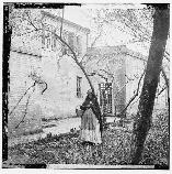 Portrait of a free woman