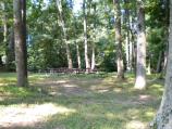Area D1 tables and trees