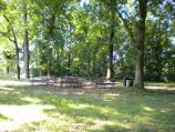 Area D2 picnic tables