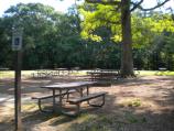 Area A