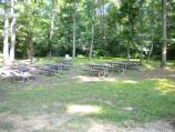 Area D1 picnic tables