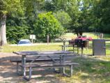 Area B1