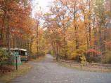 a picture of the trees changing color in the Fall in the B loop of the campground