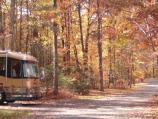 The changing leaves in the Greenbelt campground