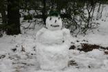 The Greenbelt Volunteer Snowman