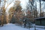 The B loop of the Greenbelt Park campground