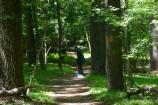 Greenbelt Park trail