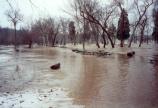 Floodwaters in the picnic area.