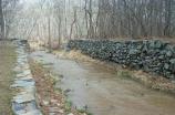 Upstream of the Falls