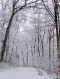 Turkey Run snow