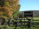 Murphy Farm