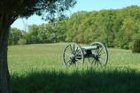 Cannon at the Murphy Farm