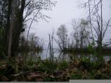 Broad Creek Canal