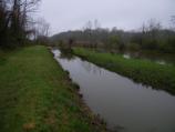 Want Water Canal