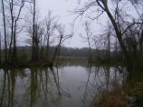 Broad Creek