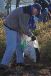 Secretary of Interior Ken Salazar lends a hand and leads a group of volunteers mulching and tending the planters at the Martin Luther King, Jr. Memorial for the 2013 Day of Service.