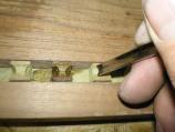 7) Dentil detailing by hand with a gouge