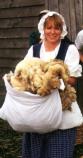 wool collection