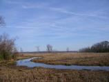 Estuary