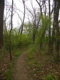 Trail