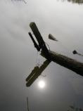 Sun's Reflection