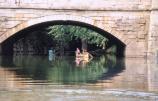 Canoes under Aqueduct