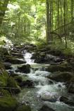 Brook falls in Great Allegheny Passage