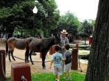 Meeting the Mules
