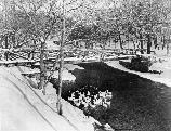 Wooden Foot Bridge