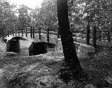 Foot Bridge
