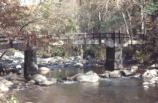 Rapids Bridge in Summer