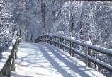 Rapids Bridge in Winter