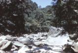 Rock Creek