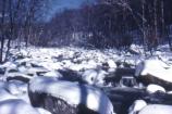 Rock Creek in Winter