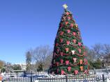 National Christmas Tree will be lit on Thursday, December 6, 2007 at 5 p.m. by President George W. Bush and Mrs. Bush.